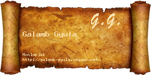 Galamb Gyula névjegykártya